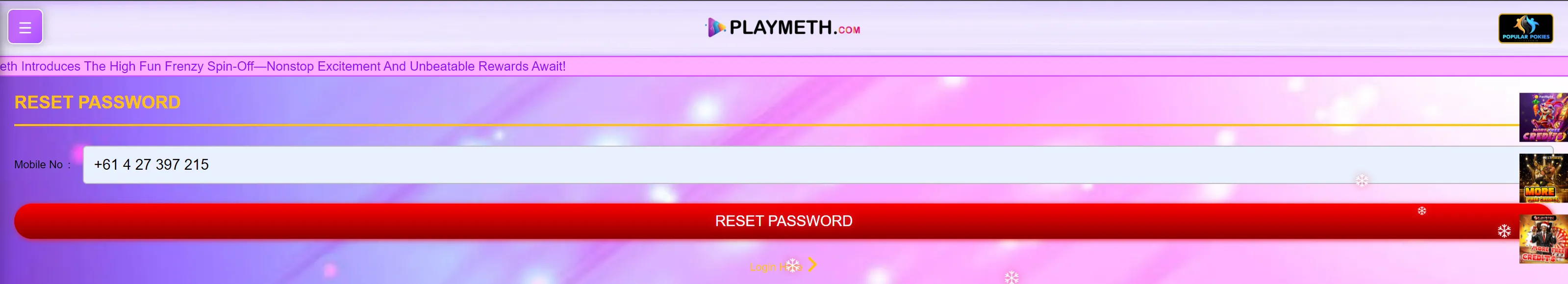 PlayMeth Casino password recovery